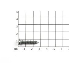 Šroub #10x1" pan head