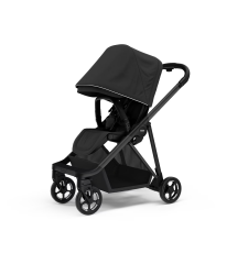 Thule Shine Black on Black 2022